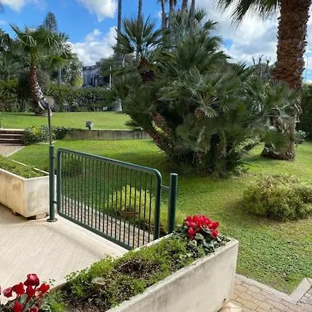 Stella D'argento Trapani